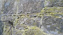 acastle 105670.jpg